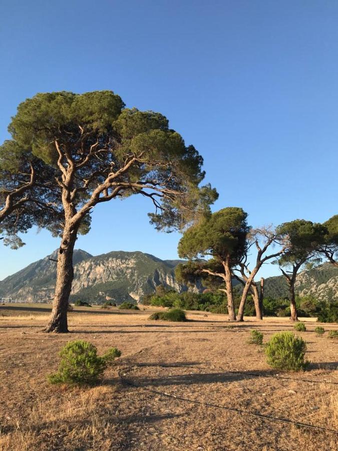 Ikiz Pension Bungalow Çıralı Eksteriør billede